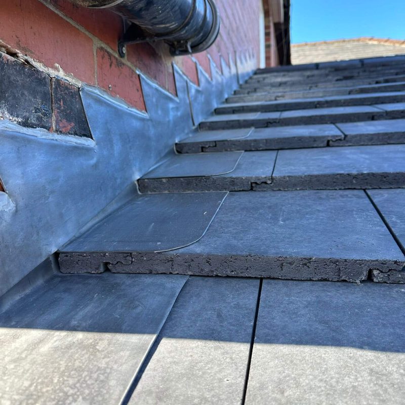 WhatsApp Image 2026-03-03 at 07.39.46 (1)